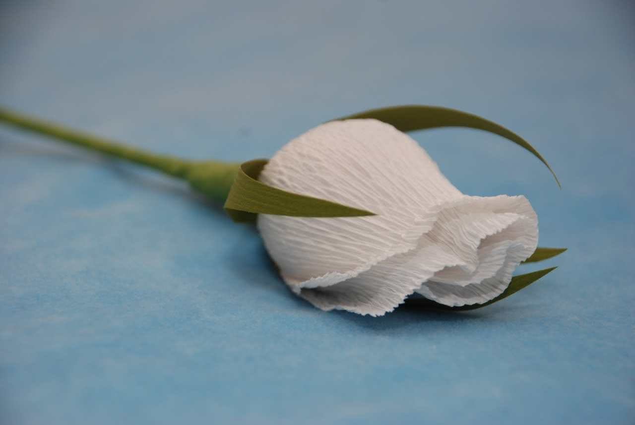 Бутоны цветов из гофрированной бумаги